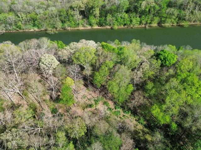 Land for sale in Elkmont, Alabama
