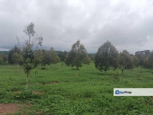 House for sale in Batu Pahat, Johor