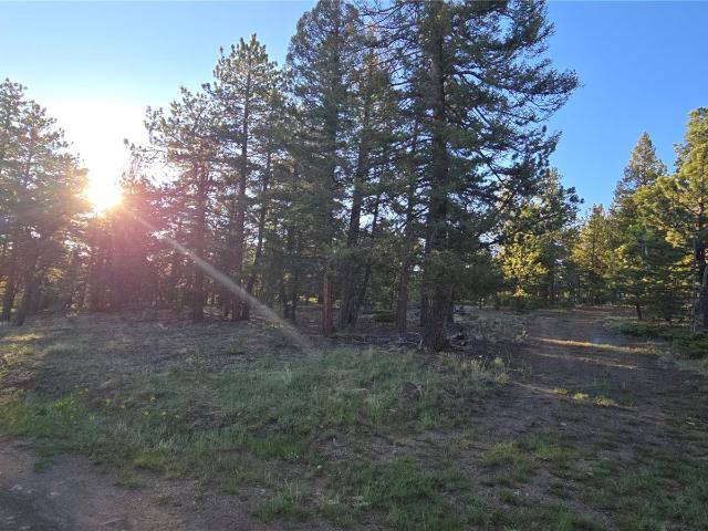 Land for sale in Buena Vista