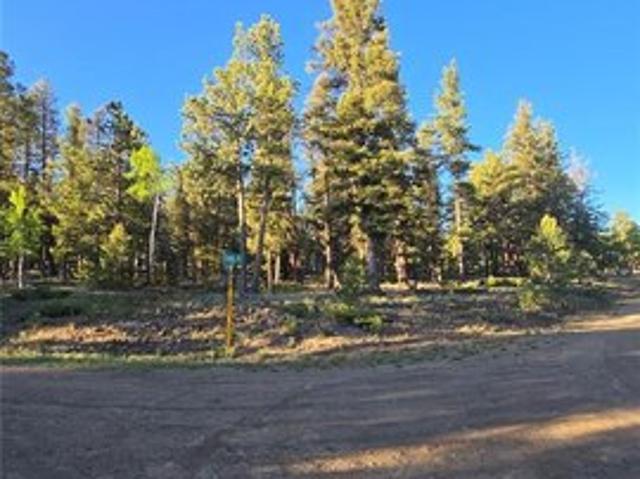 Land for sale in Chaffee, Colorado