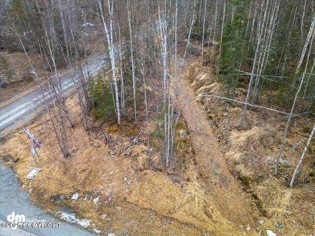 Land for sale in Alaska
