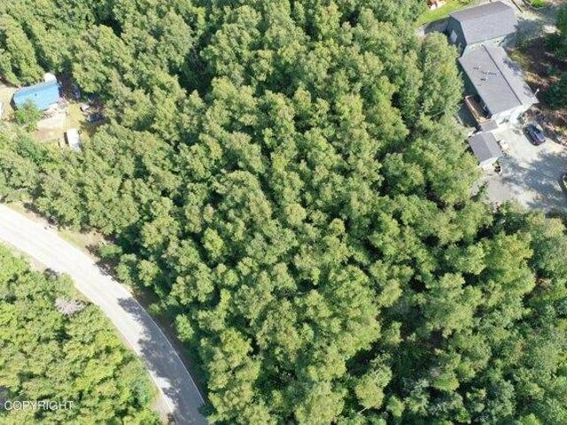 Land for sale in Alaska