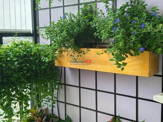 Bất động sản cho thuê tại Hồ Chí Minh