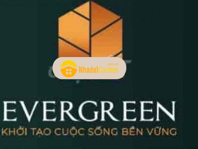 Căn hộ bán