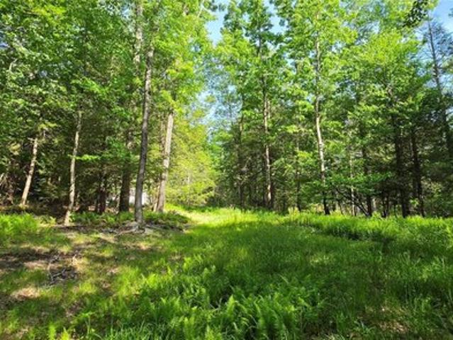 Land for sale in Fallsburg, New York