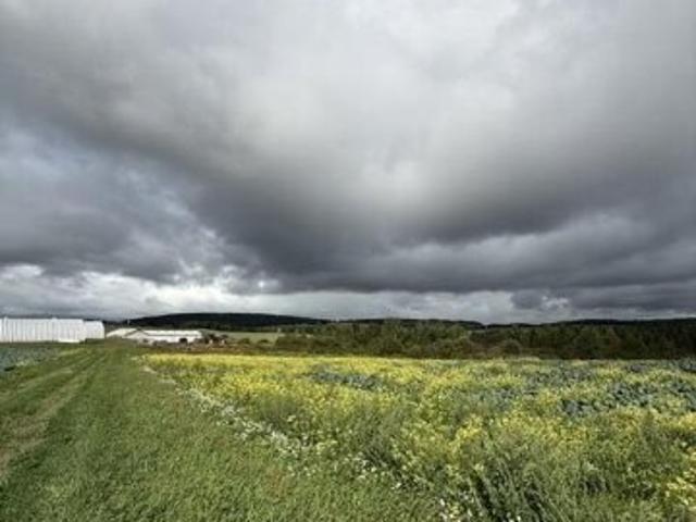 Land for sale in Frenchville, Maine