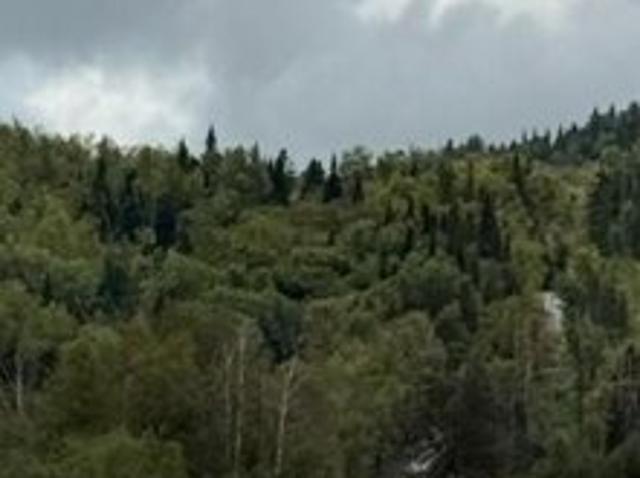 Land for sale in Upper Frenchville, Frenchville