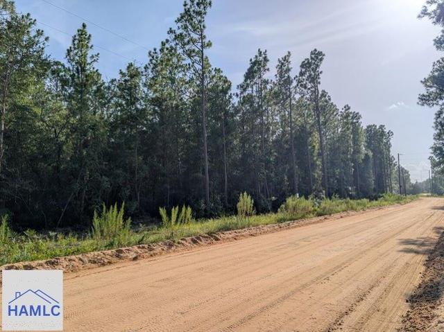 Land for sale in Jesup, Georgia