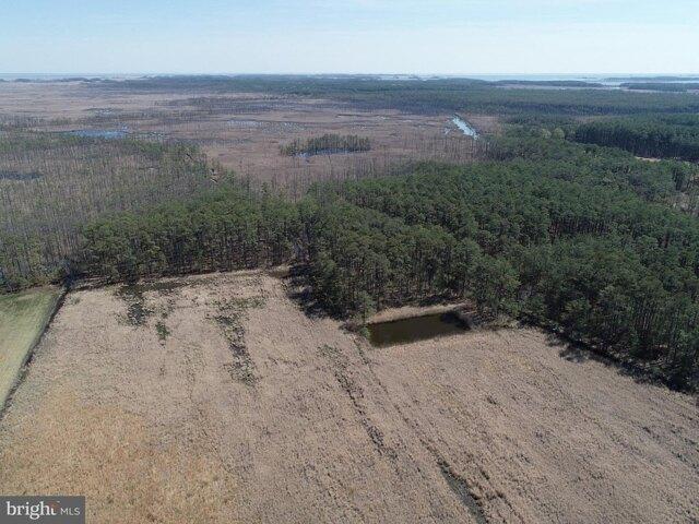 Land for sale in Dorchester, Maryland
