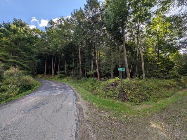Land for sale in Tionesta, Pennsylvania