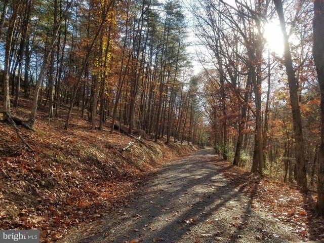 Land for sale in Romney, West Virginia