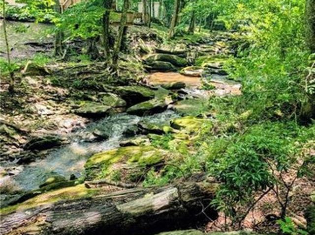 Land for sale in Avery, North Carolina