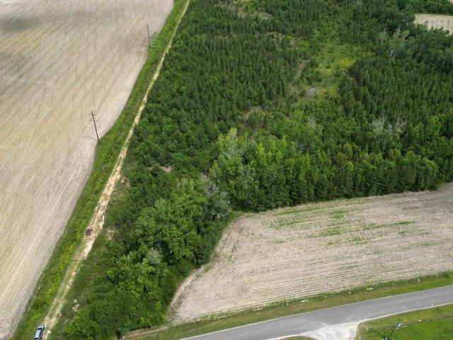 Land for sale in Green Sea, South Carolina