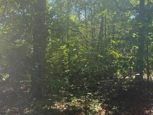 Land for sale in New London, North Carolina