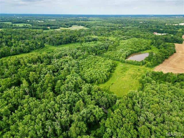 Land for sale in Kell, Illinois