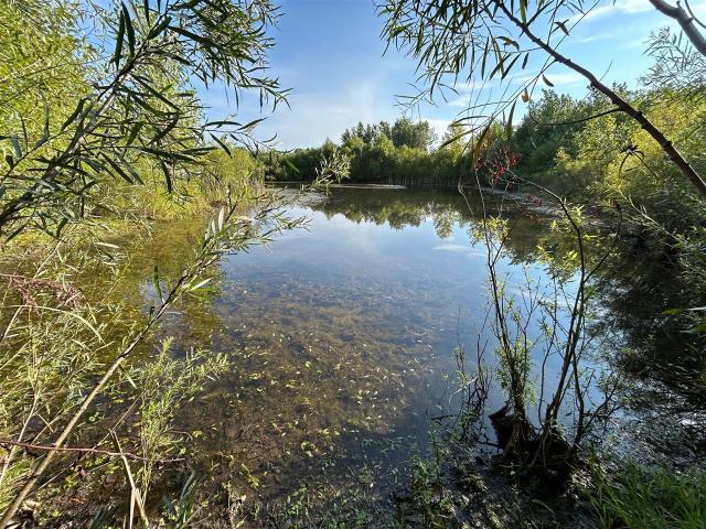 Land for sale in Hillsdale, Michigan