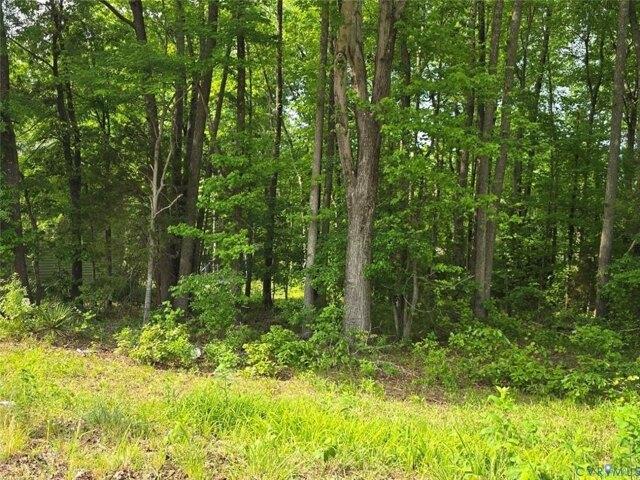 Land for sale in Virginia