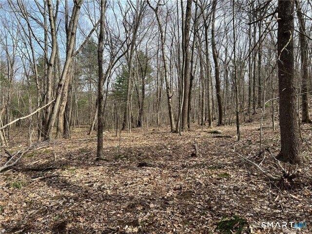 Land for sale in Brooklyn, Northeastern Connecticut Planning Region