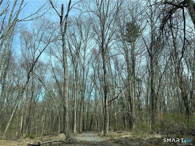 Land for sale in Brooklyn, Connecticut