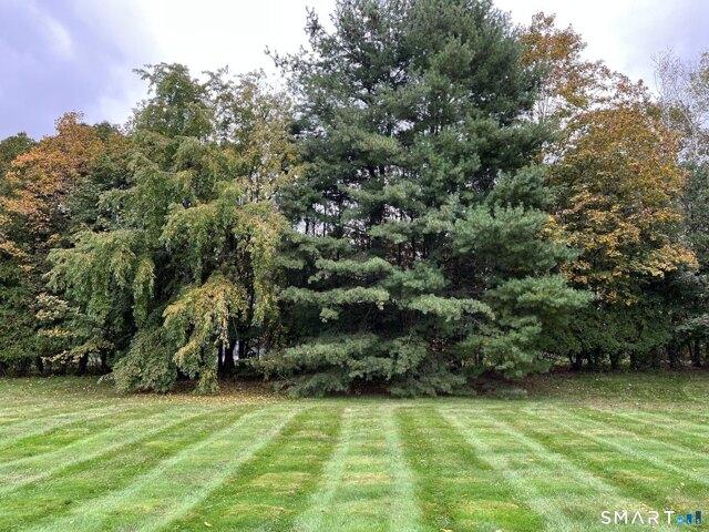 Land for sale in Newington, Connecticut