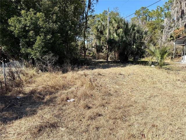 Land for sale in Umatilla, Florida