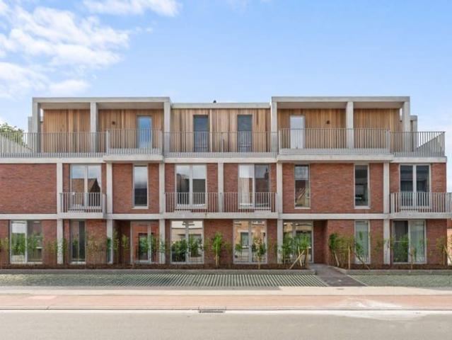Kot location à Waregem, West-Vlaanderen