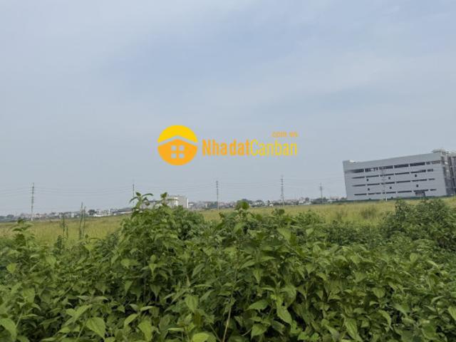Mặt bằng bán