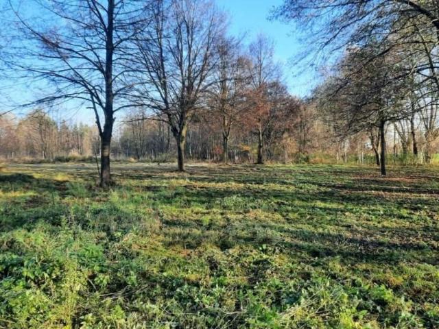 Grunt na sprzedaż w Chyby, Wielkopolskie