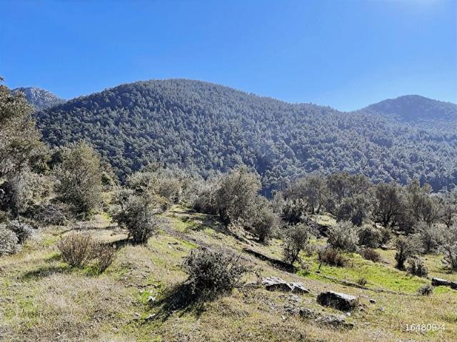 Milas, Muğla içerisinde satılık Arsa