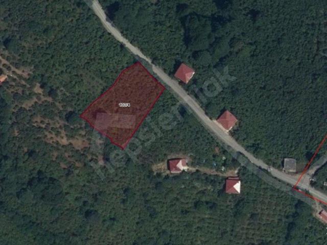 Terme, Samsun içerisinde satılık mülk