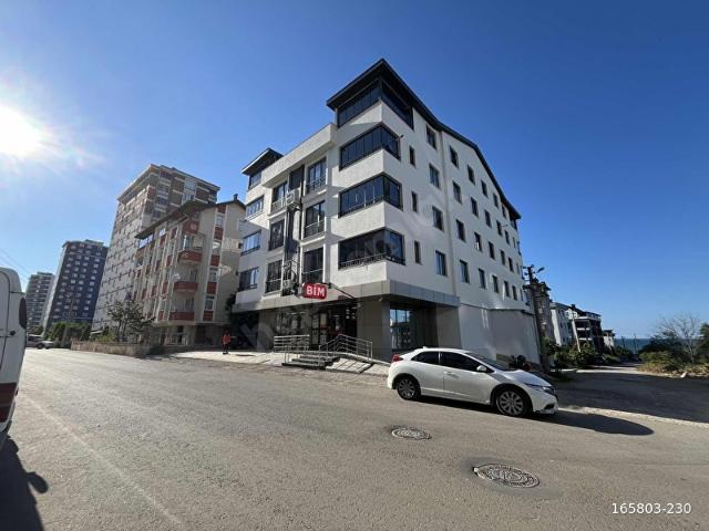 Dolunay Mahallesi, Fatsa içerisinde satılık mülk