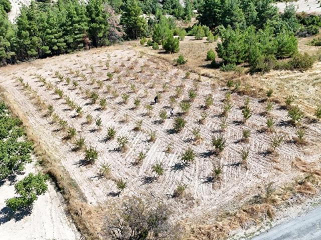 sanayi alanı osb, Bozkurt içerisinde satılık Arsa