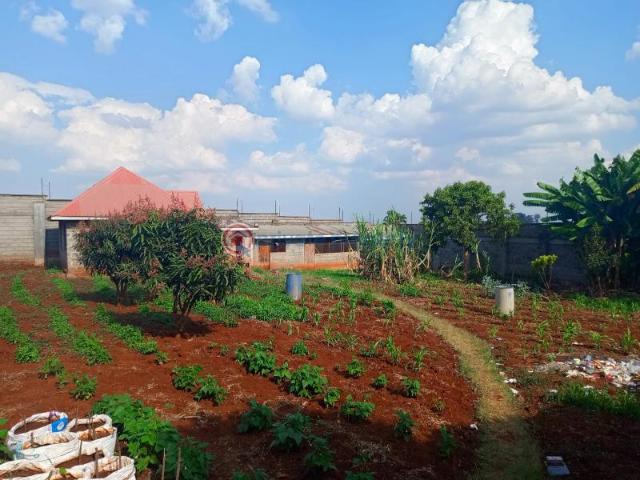 Land for rent in Spring Valley, Kiambu