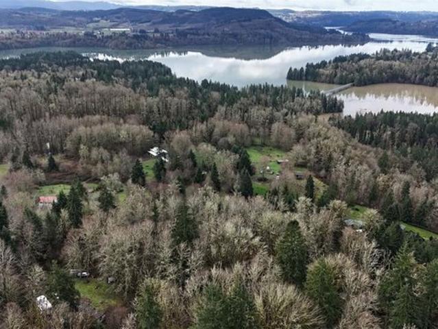 Land for sale in Mossyrock, Washington