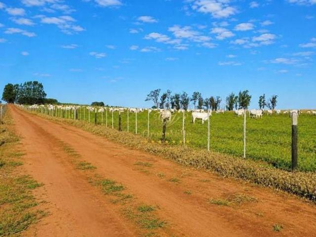 Sítio e chácara venda em Região Geográfica Imediata de Curitiba, Região Metropolitana de Curitiba
