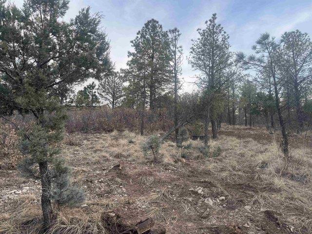 Land for sale in Timberon, New Mexico