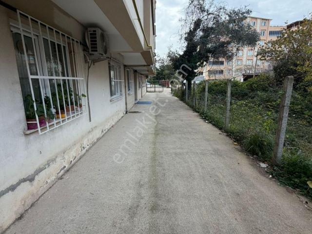 Cide, Kastamonu içerisinde satılık mülk
