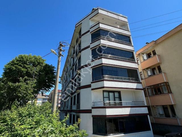 Cide, Kastamonu içerisinde satılık mülk