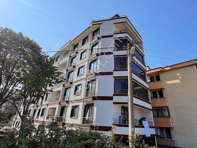 Cide, Kastamonu içerisinde satılık mülk