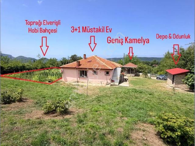 Cide, Kastamonu içerisinde satılık Villa