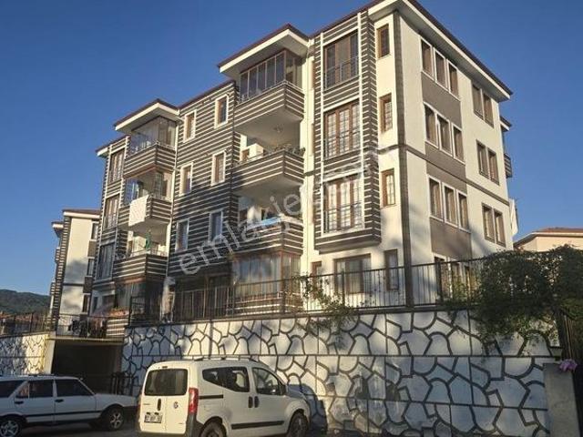 Sırakaya, Cide içerisinde satılık mülk