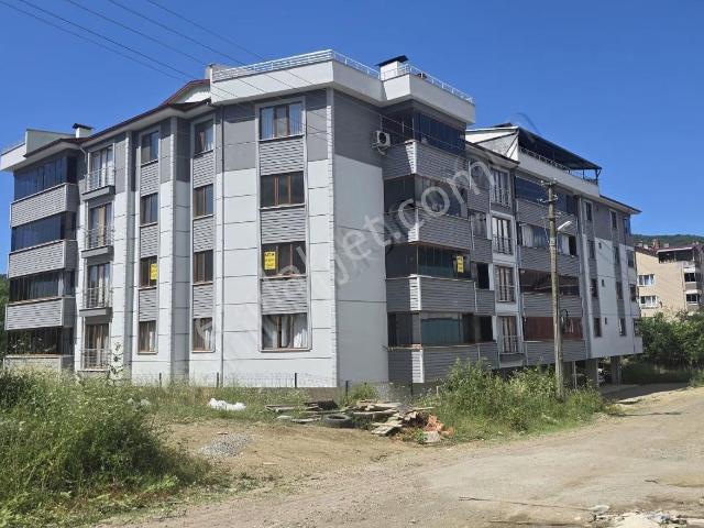 Cide, Kastamonu içerisinde satılık mülk