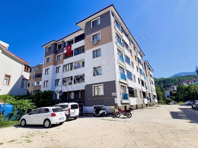 Cide, Kastamonu içerisinde satılık mülk