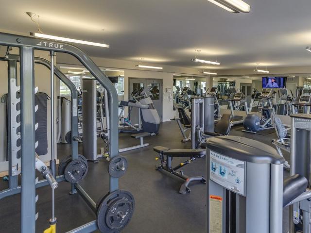 Apartment for rent in Saskatoon, Saskatchewan