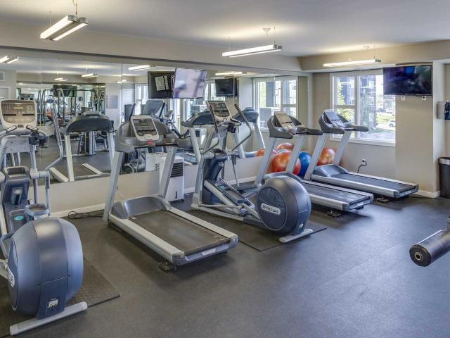 Apartment for rent in Saskatoon, Saskatchewan