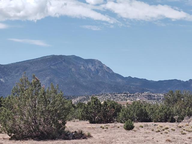 Land for sale in New Mexico