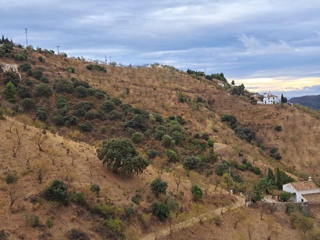 Terreno en venta en Málaga, Ciudad Jardín