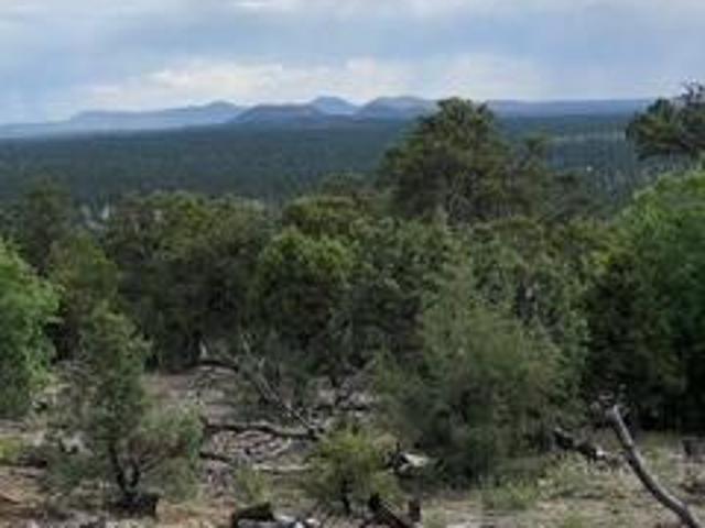 Land for sale in Ramah, New Mexico