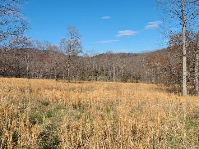 Land for sale in Virginia