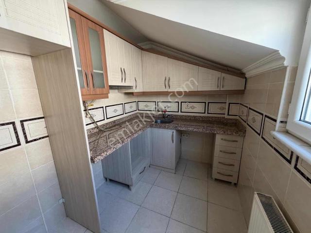 Cihangir Mahallesi, Avcılar içerisinde kiralık mülk